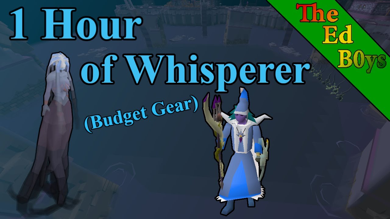 1 Hour of Whisperer | OSRS Budget Gear Whisperer Examples