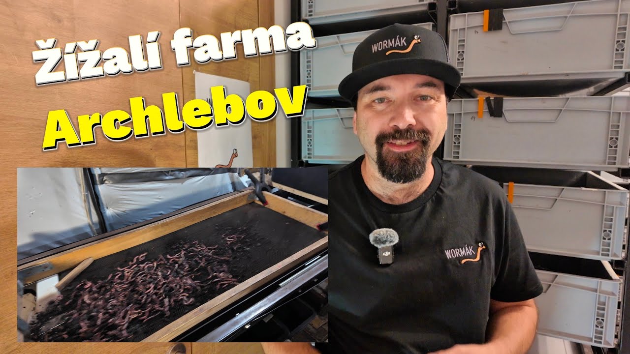 |WORMÁK| ŽÍŽALÍ FARMA ZEVNITŘ: Jak se chovají žížaly nejen pro rybáře. #dendrobaena