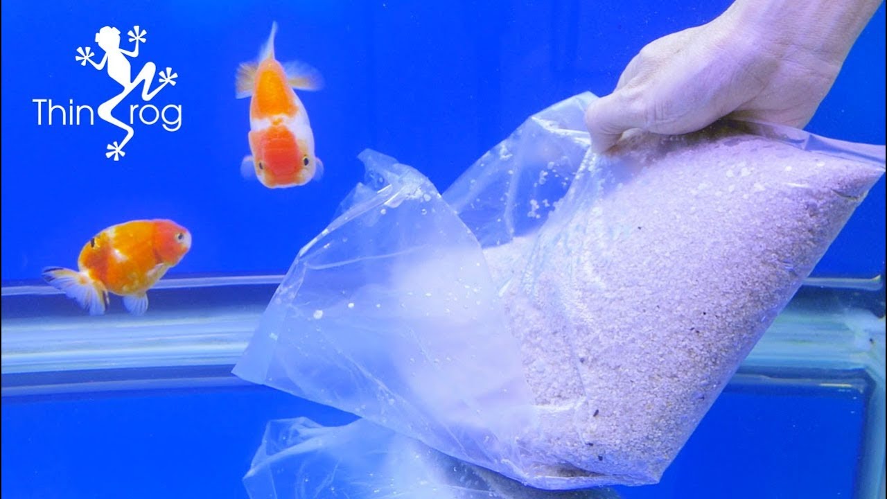 Adding sand into my aquarium