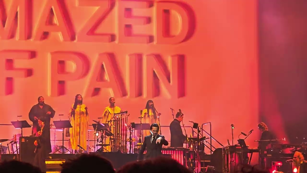 Nick Cave - Frogs - Antwerp 30.10.24