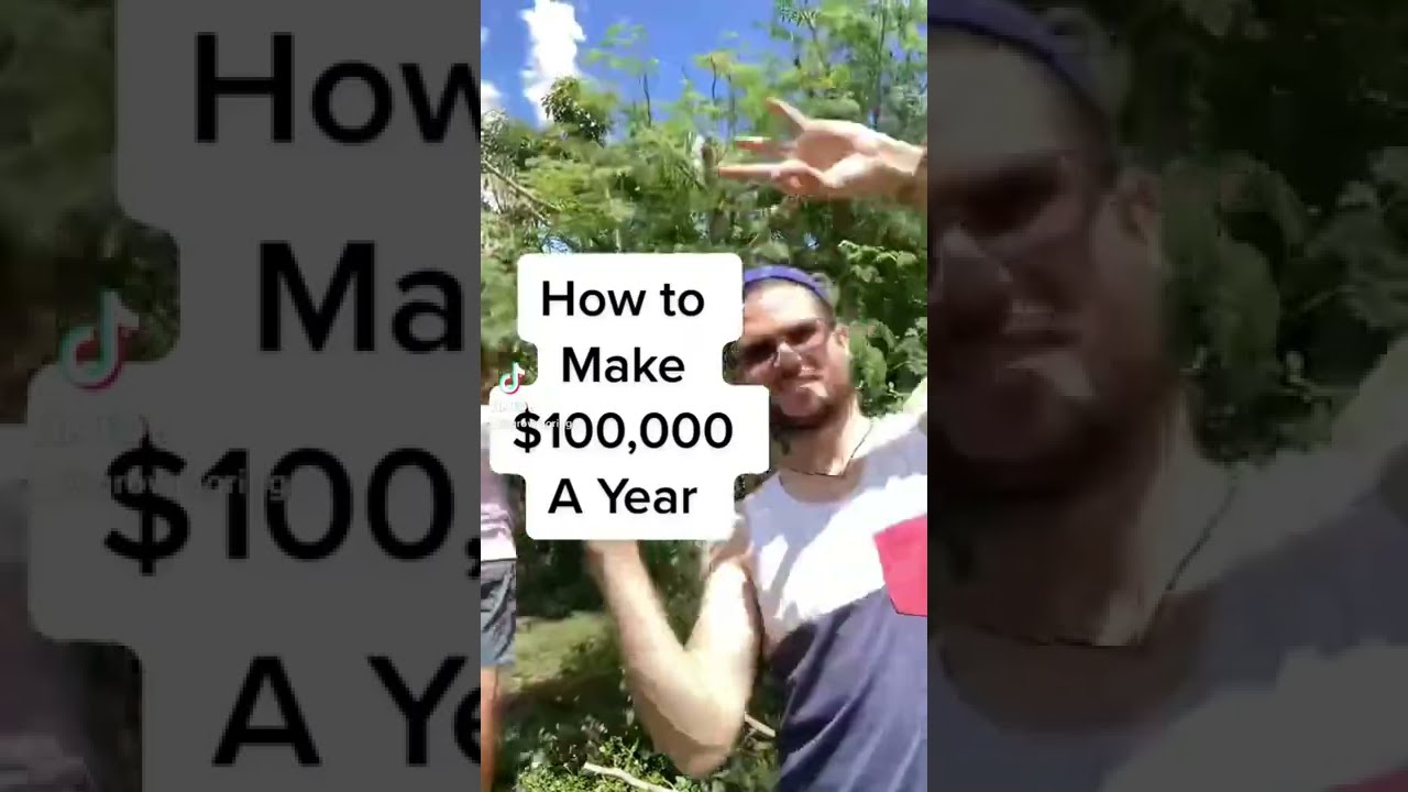 Как заработать 100 тысяч долларов в год, выращивая деревья моринги