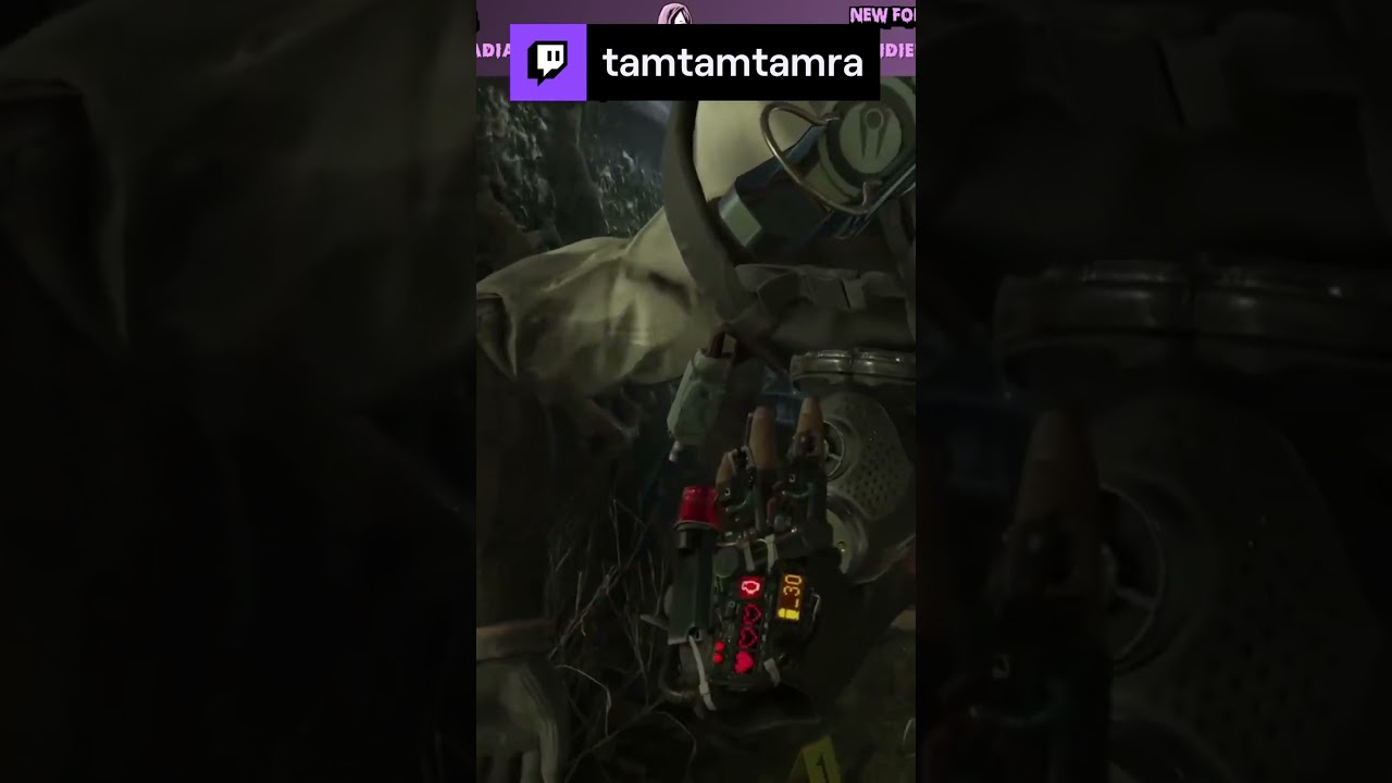 Casual interaction | tamtamtamra op #Twitch