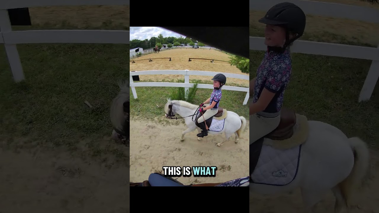 the cutest POV....Prince Charles from above!! #cute #pony #horseshow