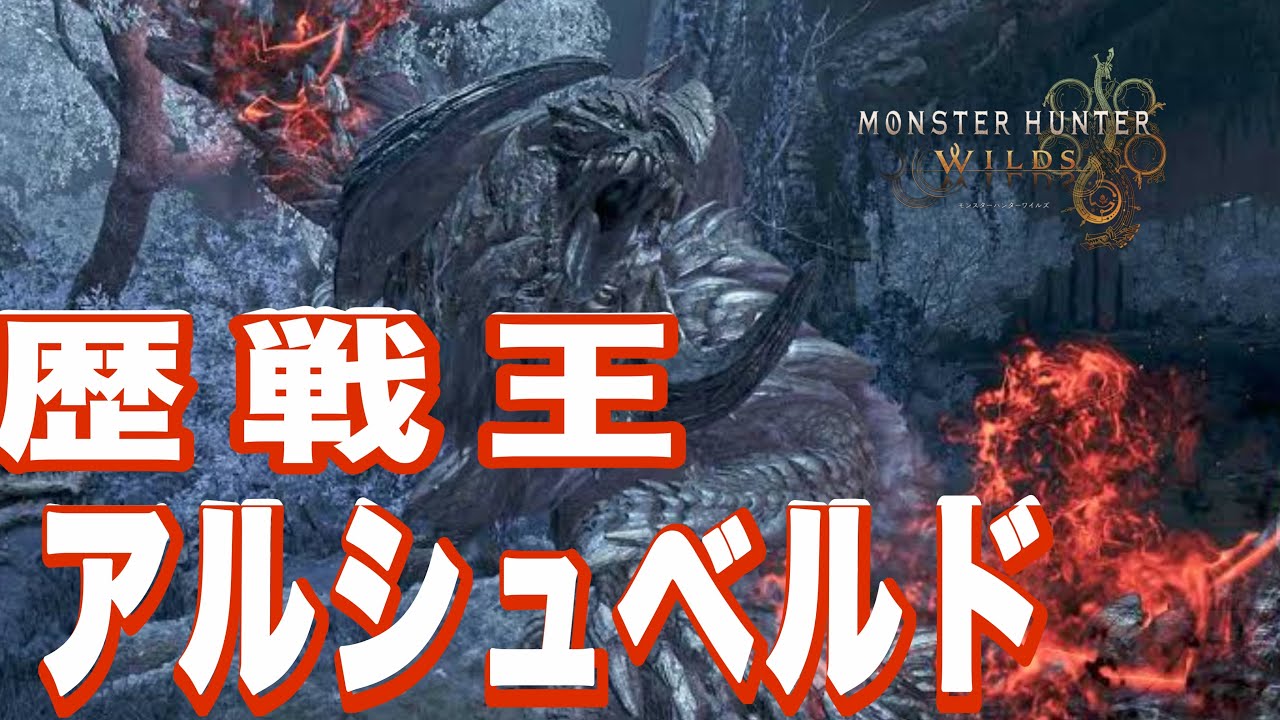 最強の王⭐︎10『歴戦王アルシュベルド』に初見ソロで挑んだ結果