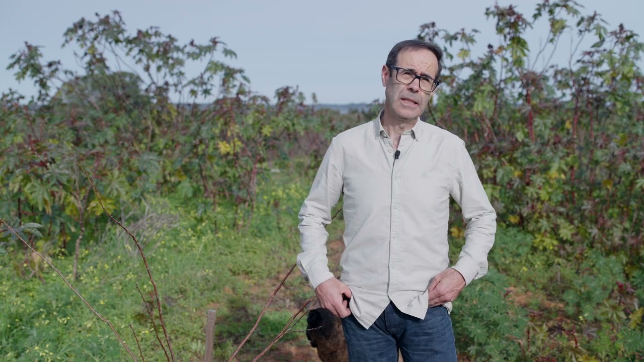 Quinta do Monte Judeu