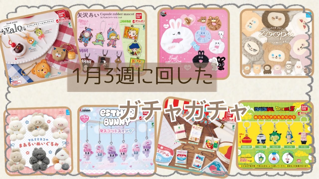 【ガチャガチャ】気になってたガチャガチャが入荷したから回してきた！