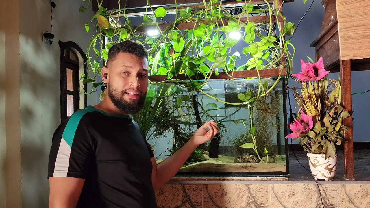Manutenção do meu aquário com plantas de jardim!! Plantas venenosas no aquário??  #plantas #aquário