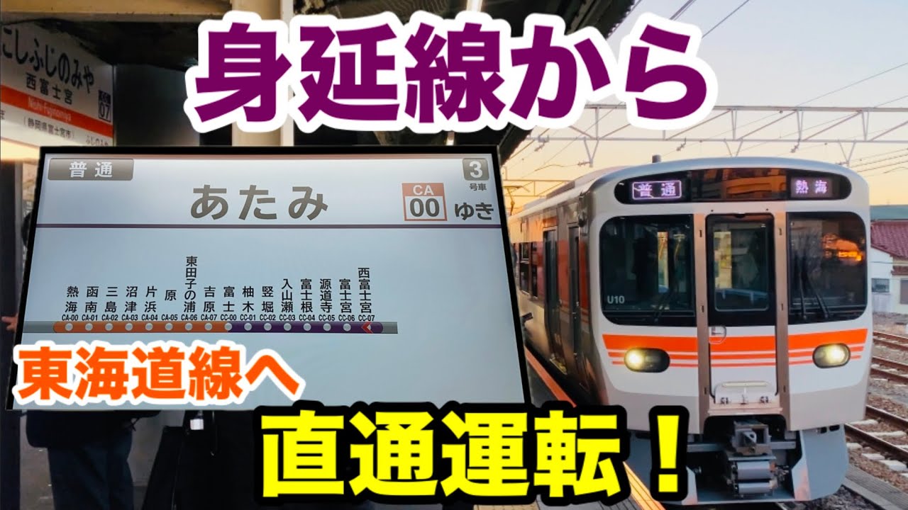 【315系でも運転】身延線から東海道線へ直通する普通列車に乗ってきた