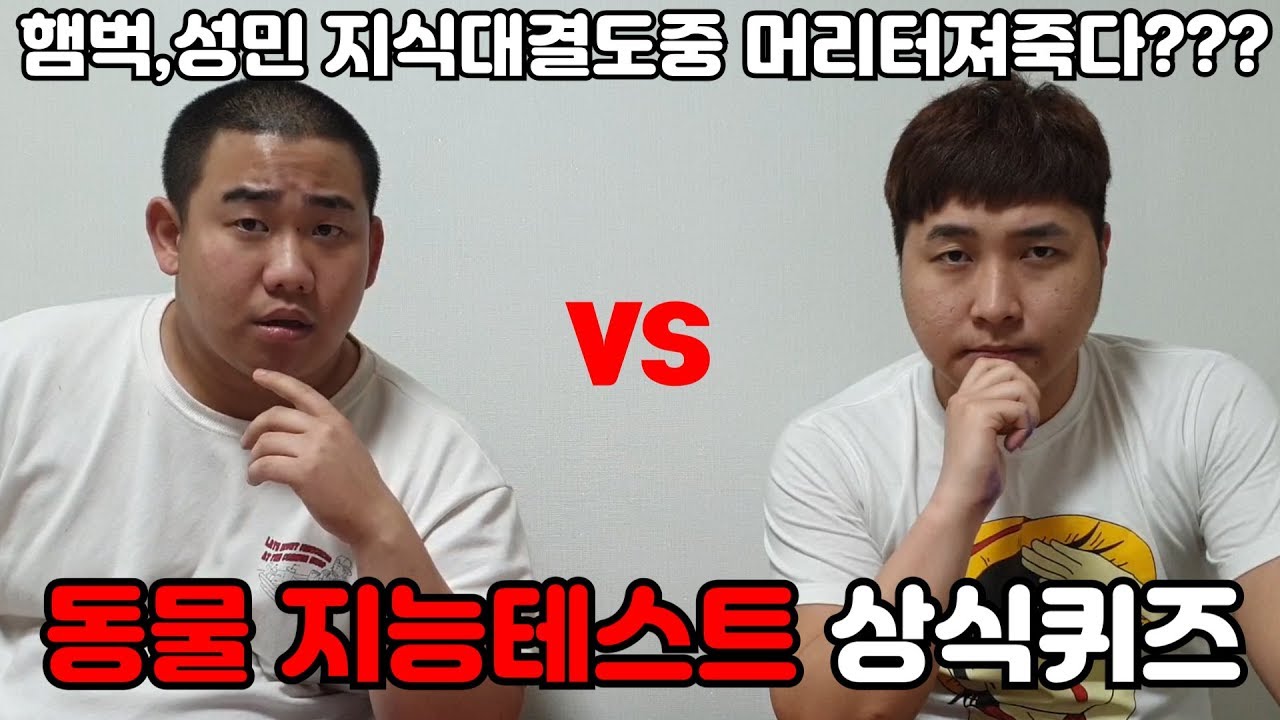 죽음을걸고시작된 상식퀴즈..