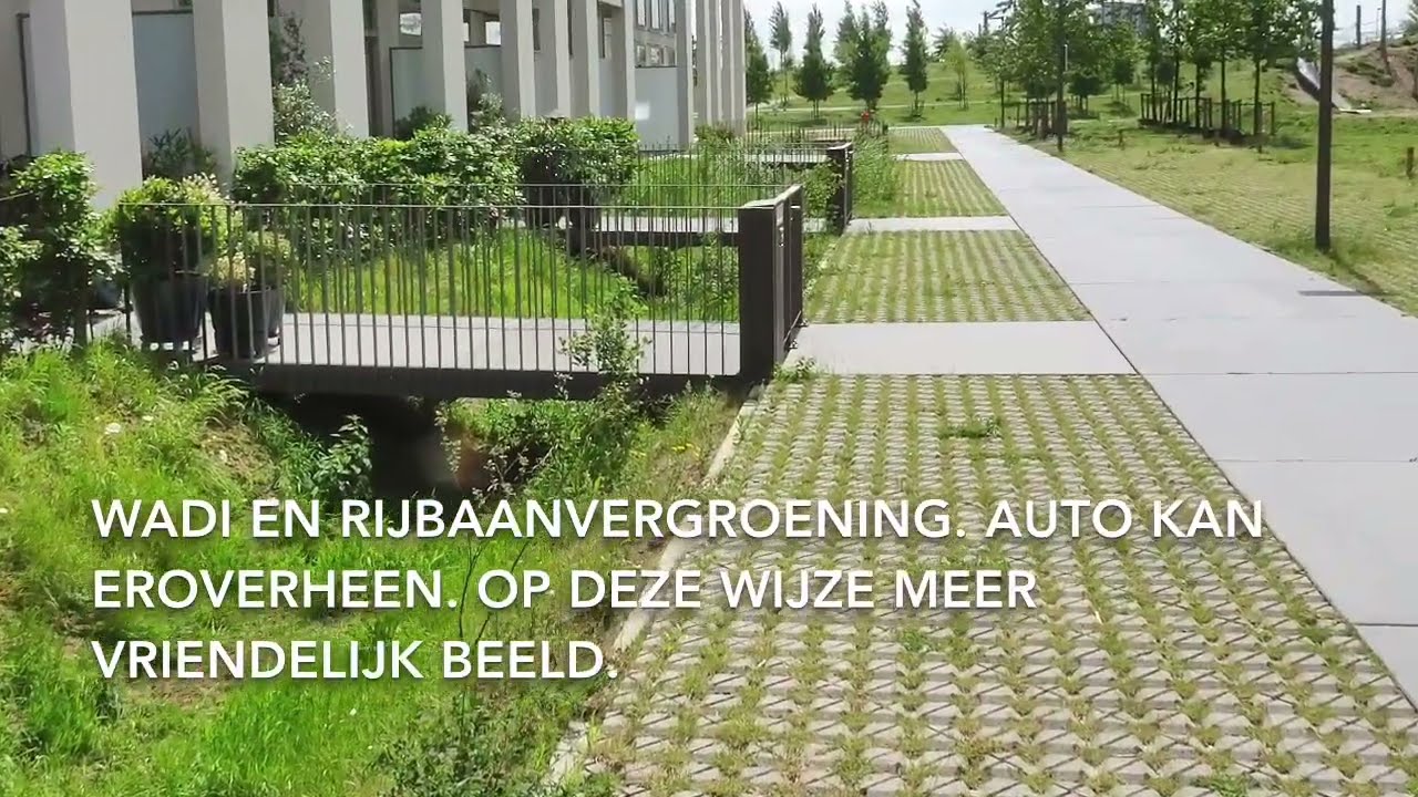 Klimaatadaptatie-inspiratie uit België.