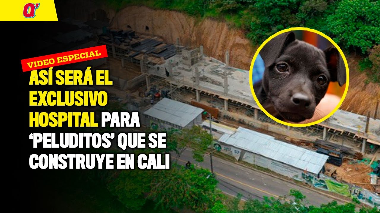 Así será el exclusivo hospital para 'peluditos' que se construye en Cali | Qhubo Cali