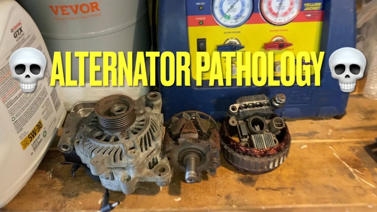 SX4 Alternator Forensics 