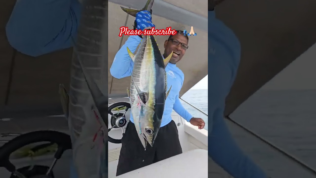 Yellowfin tuna at Mauritius 🎣 #fishing #foryou #ocean #world #happy #fish
