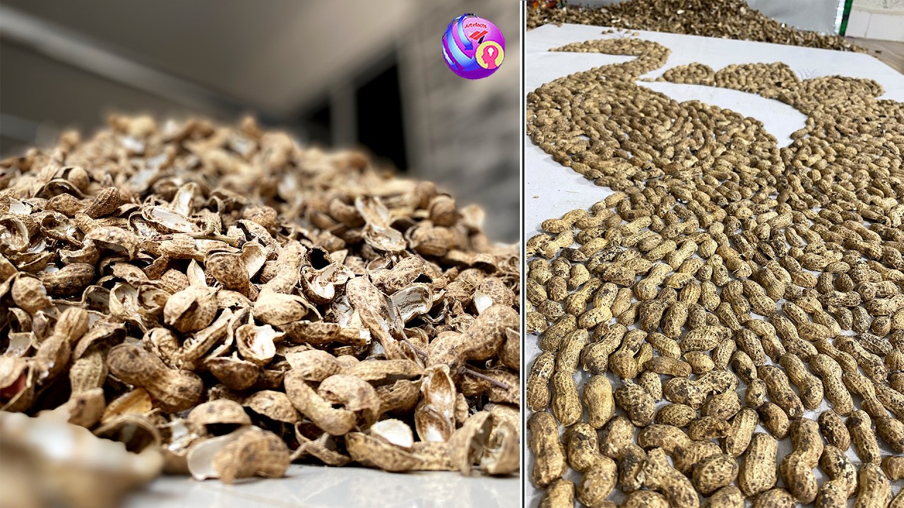 Turning peanut shells into stunning wall decor