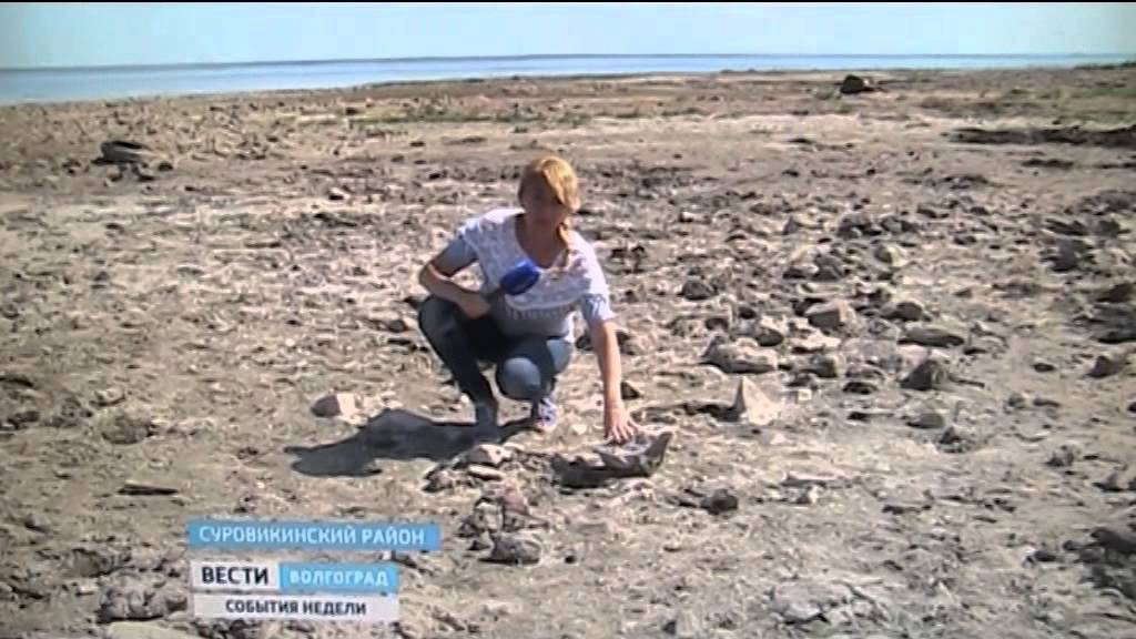Цимлянское водохранилище  открывает тайны