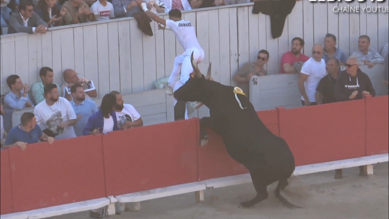 Des Frissons à Arles ! Les Plus Belles Actions de la Finale des As 2025 🏆😱