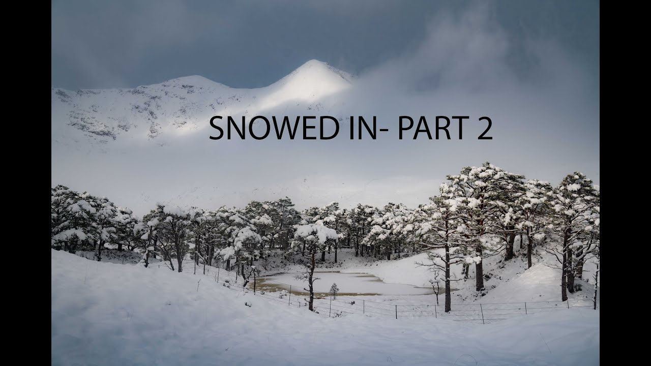 SNOWED IN Part 2- Even better images than Part 1 (I think....lol)