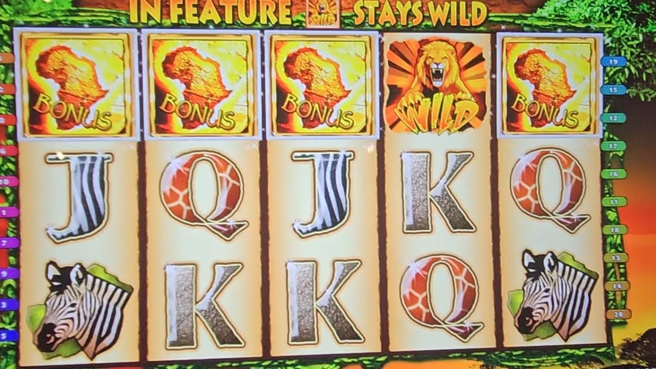 The Wild Life four symbol bonus on the new machines