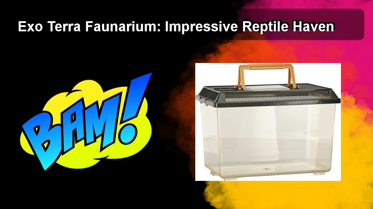 Exo Terra Faunarium: Impressive Reptile Haven