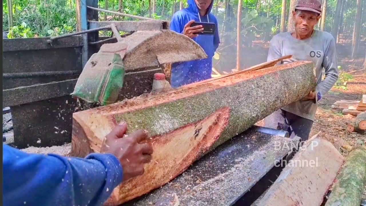 Penggergajian Berbagai jenis kayu - Mesin Serkel rakitan 
