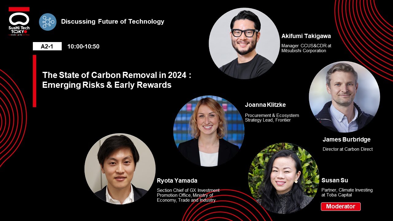 The State of Carbon Removal in 2024: Emerging Risks & Early Rewards