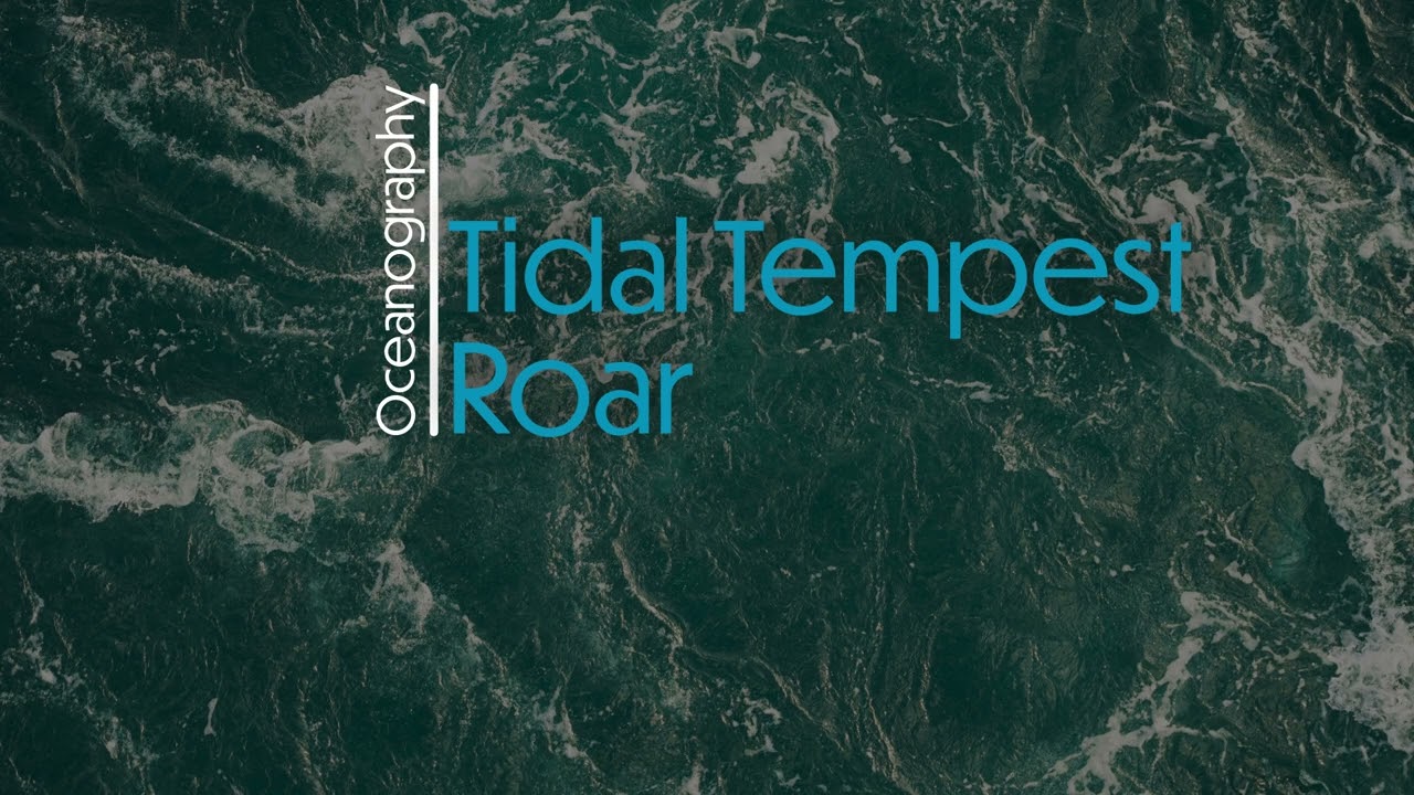 Tidal Tempest Roar: Tidal flow, blending soulful riffs with stories of ocean power and consequence