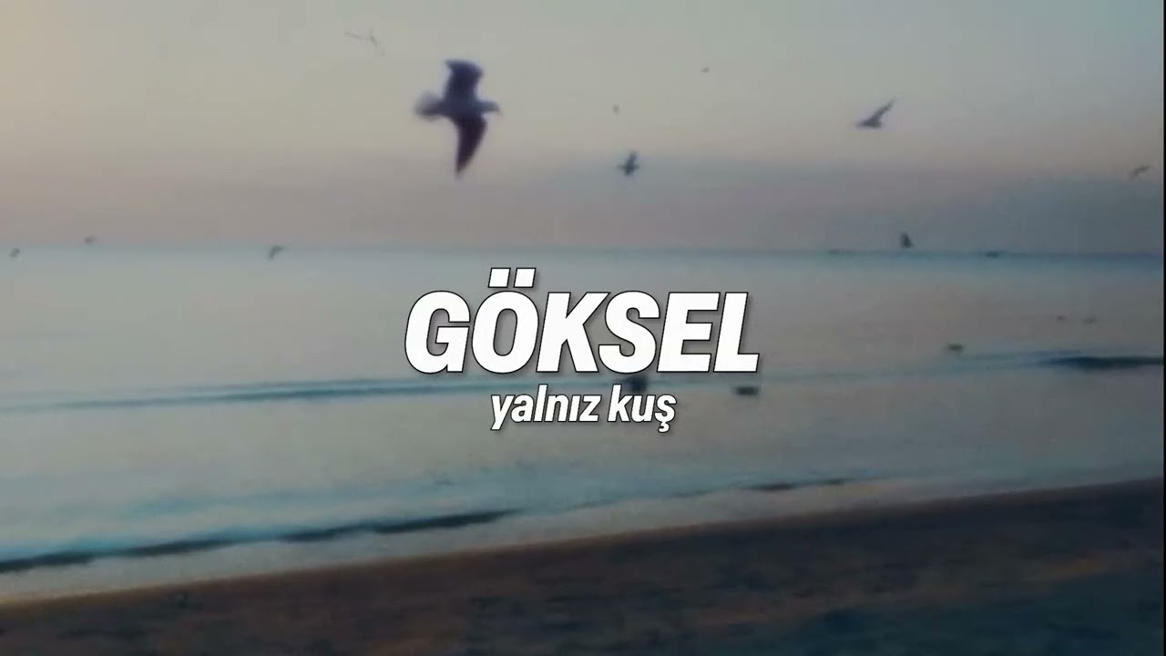 göksel - yalnız kuş enstrümantal kısım (uzun versiyon)