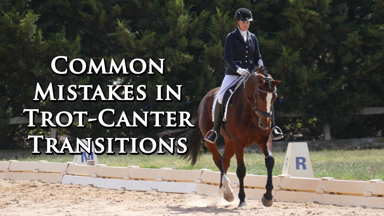 COMMON MISTAKES IN TROT CANTER TRANSITIONS - Dressage Mastery TV Episode 28