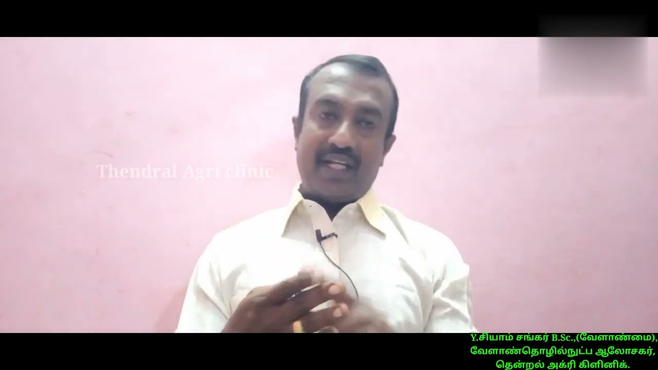 கரும்பு அதிக எடை,அதிக பருமன் ,100 டன் வர சொட்டு நீர்ப்பாசன வழியாக கொடுக்க வேண்டிய முக்கியமான உரங்கள்