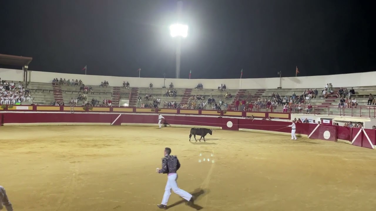 Sauts par dessus les vachettes dans l'ar&egrave;ne de Vieux Boucau Les Bains