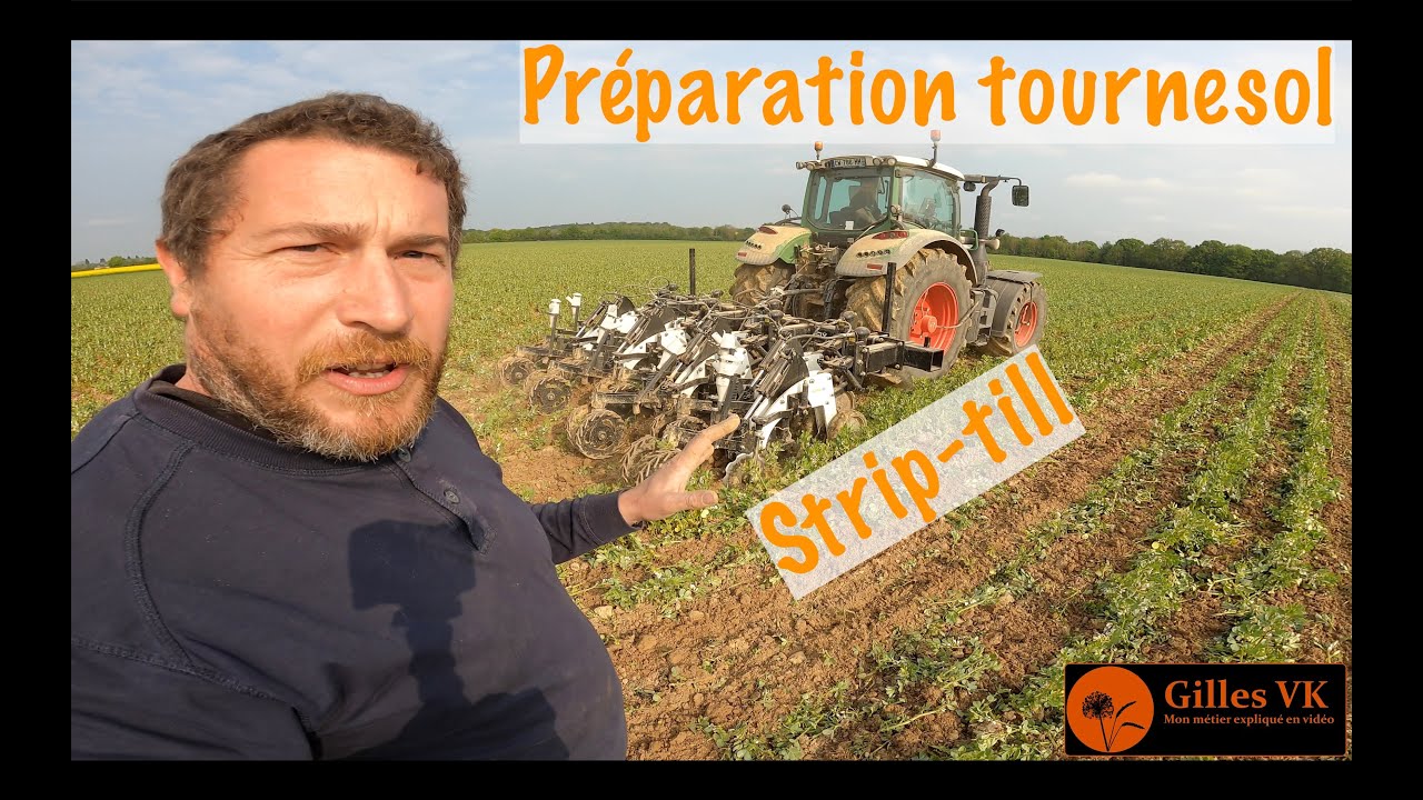 Préparation des semis de tournesol au strip-till