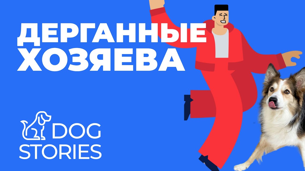 Гиперактивный щенок 🐕 Дерганные хозяева = перевозбуждённая собака