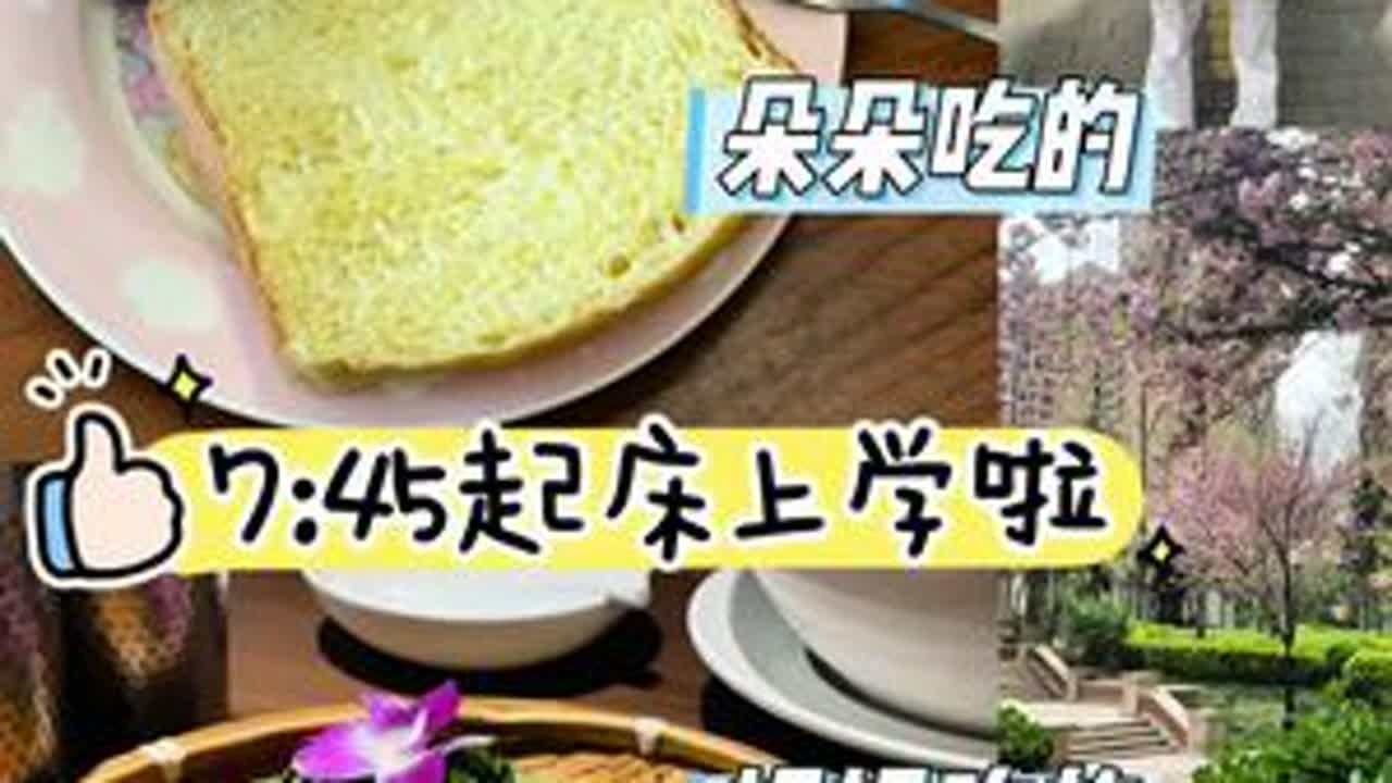 Vlog118｜北京普通小学生上学日常83终于明白为啥赞美要说你是人间四月天，北京的春天可真美啊，小时候在老家没这感觉，可能是花种得少吧，送姐姐上学后去吃火车头米粉，这家一般般，没有五道口那家...