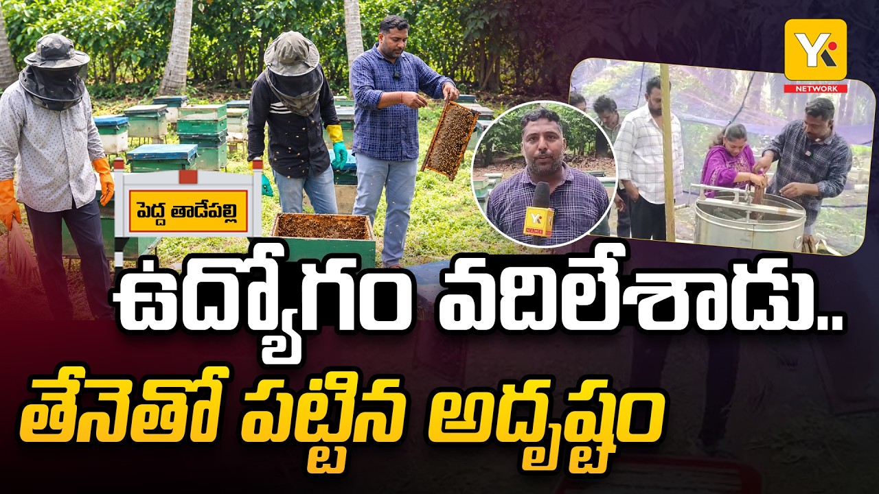 Young Entrepreneur's Beekeeping Success! | ఉద్యోగం వదిలి.. తేనె వ్యాపారంతో కోట్లు... YK TV