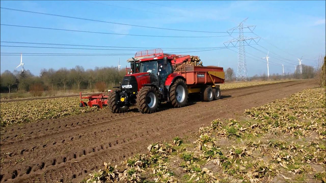 Bieten rooien in maart met WKM 9000