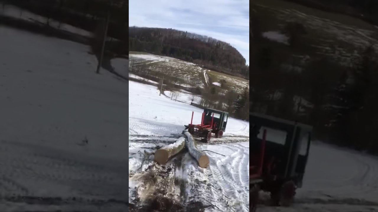 Ferrari caron 736 bergtraktor Forst Holz r&uuml;cken 2019