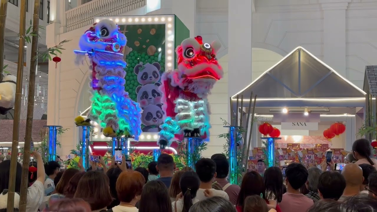 2025 的舞狮表演，过年的必看活动之一👍