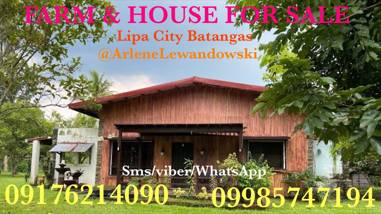 Vlog538: 12800 SQM FARM WITH HOUSE WITH MOUNTAIN VIEW FOR SALE IN LIPA CITY BATANGAS PHILIPPINES