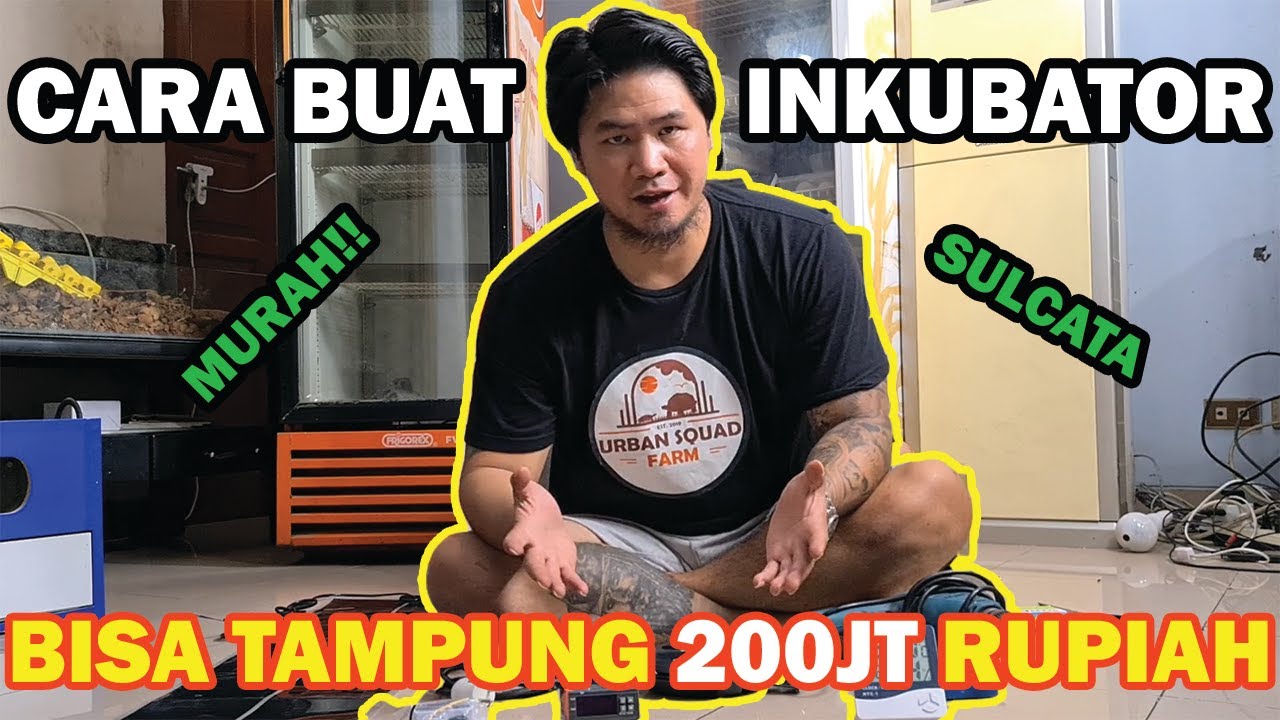 CARA MEMBUAT INKUBATOR KURA-KURA SULCATA // HOW TO MAKE AN INCUBATOR FOR SULCATA TORTOISE EGGS !!