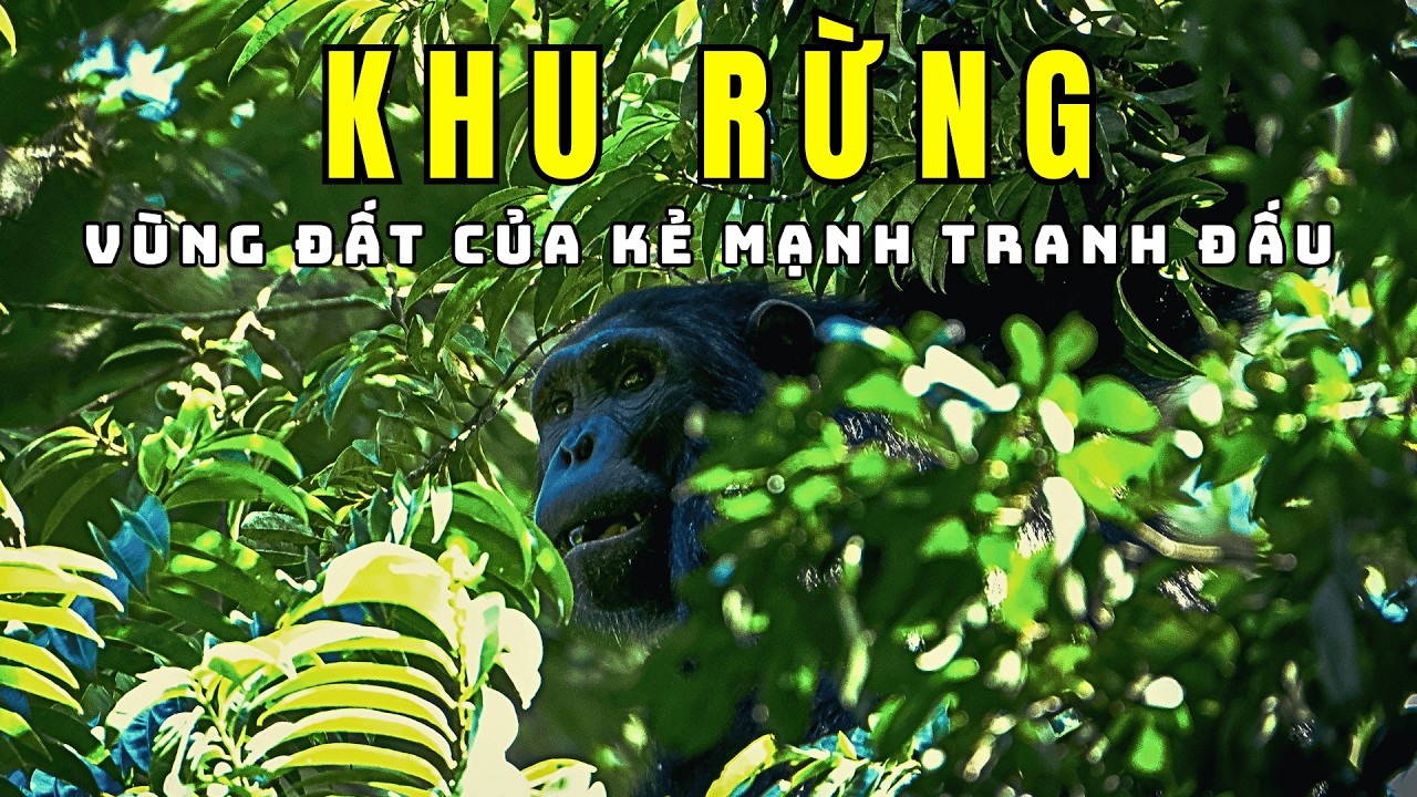 Động Vật Rừng Sâu [REPLAY] | Khám Phá Thế Giới Động Vật Hoang Dã