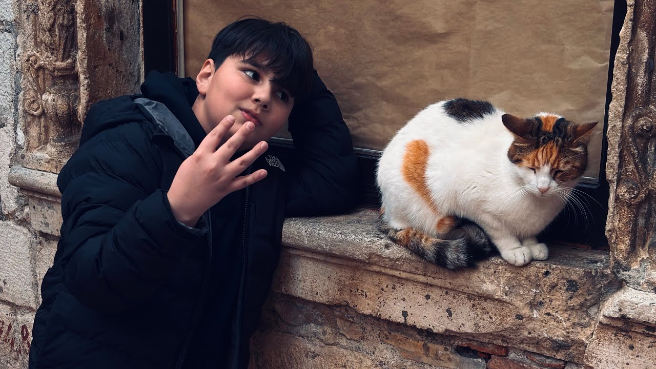 Neon rage - lil egg (ft. cinargiela)