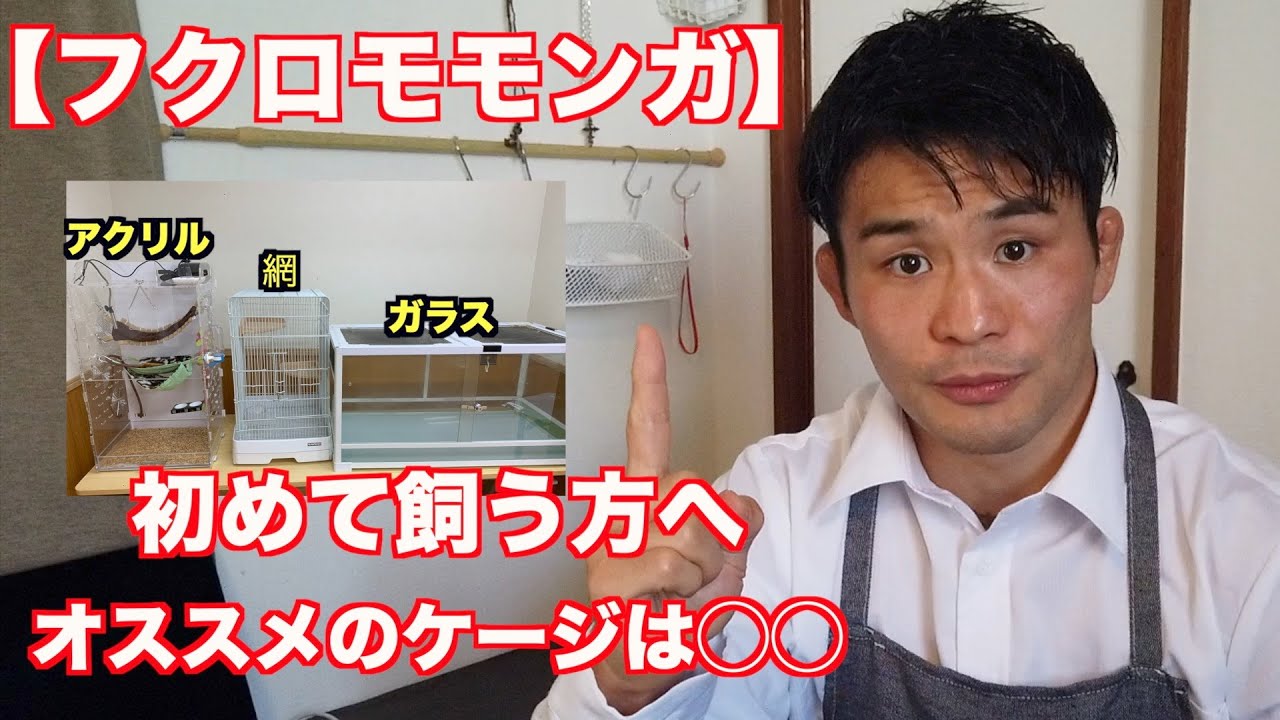 【フクロモモンガ】飼い方・オススメケージの選び方