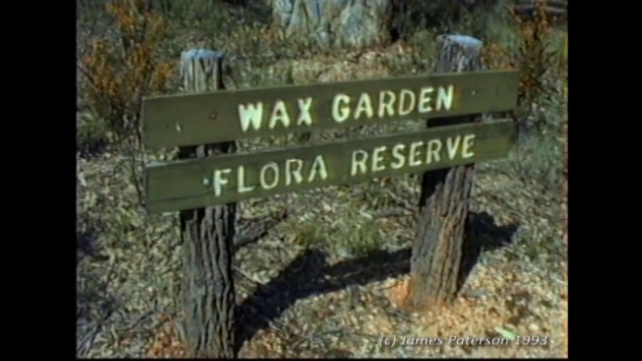 ST ARNAUD FIELD NATURALISTS WAX GARDEN -  (SEPTEMBER 1993)