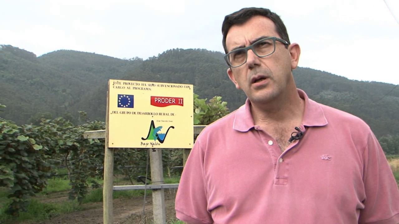 Yo soy rural, Kiwis de Pravia