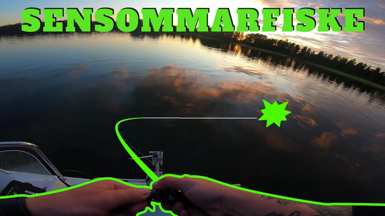 Eftermiddagspass efter ABBORRE i stor sjö! - Sensommarfiske