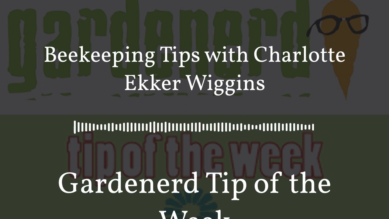 Gardenerd Tip of the Week - Beekeeping Tips with Charlotte Ekker Wiggins
