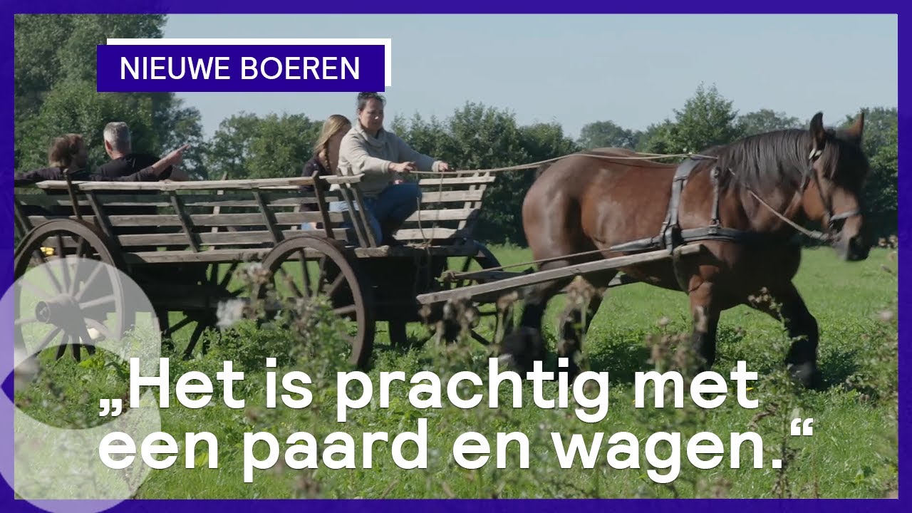 Wie zwaait de scepter in de keuken? | Nieuwe Boeren