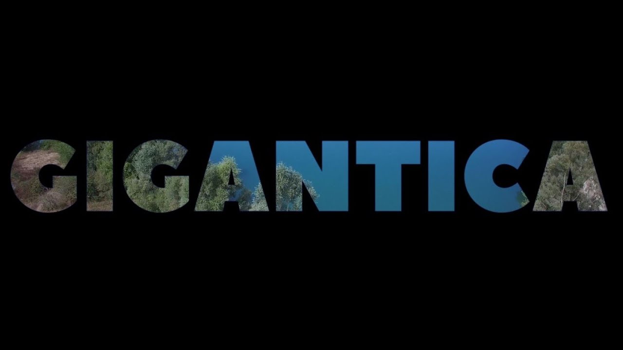 Carp Fishing - Gigantica