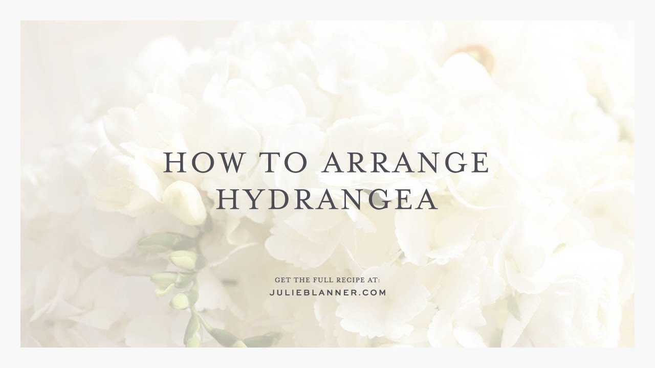 How to Arrange Hydrangeas | 2 Easy Flower Arranging Ideas and Tutorials