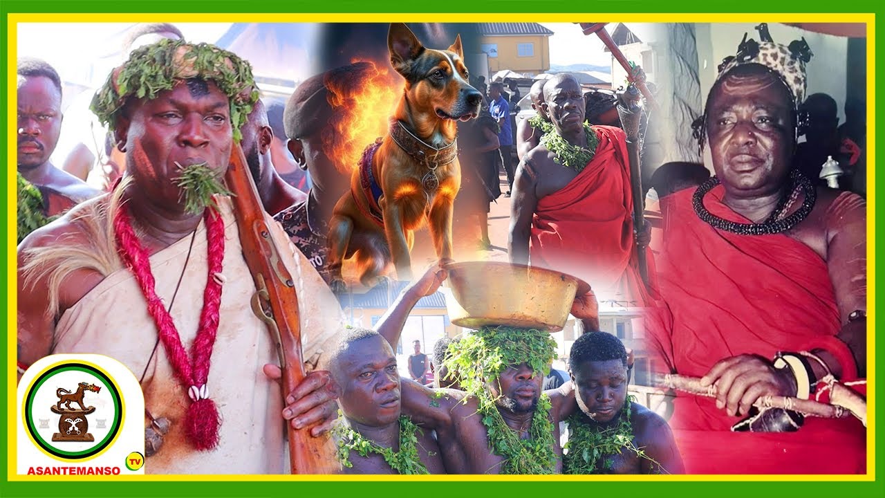 HOT🔥😲Majestic Arrival Of Akwamu Omanhene Odeneho Kwafo Akoto III Aduana Powerful Display.....